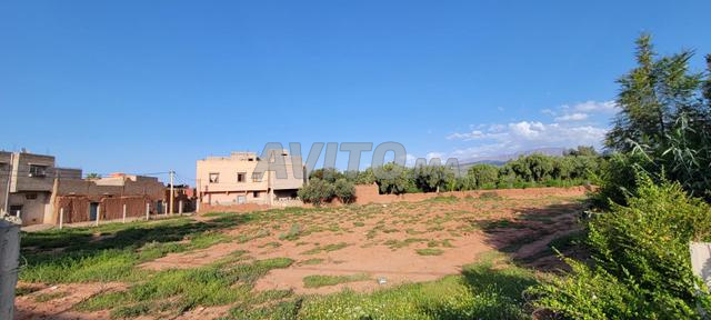 أرض للبيع - 2