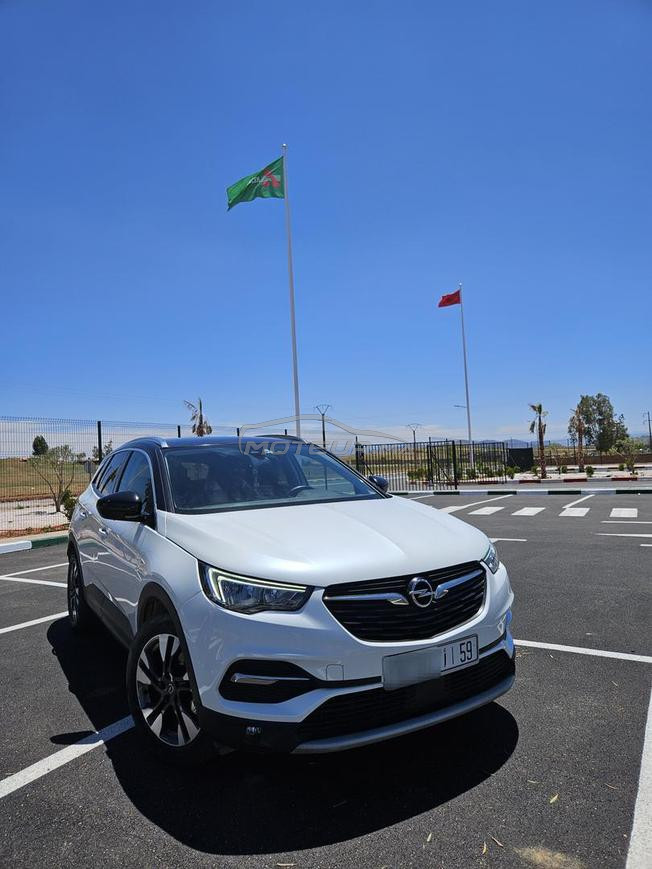 Opel Grandland X (innovation)