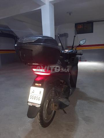 SH Honda 150 - 2