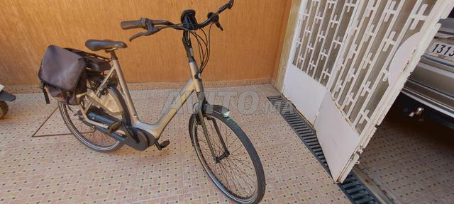 Gazelle C310 Orange - 2