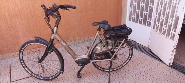 Gazelle C310 Orange - 2