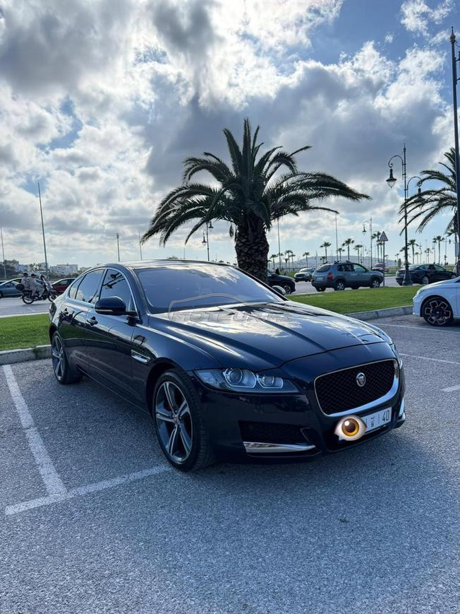 JAGUAR XF 2019 