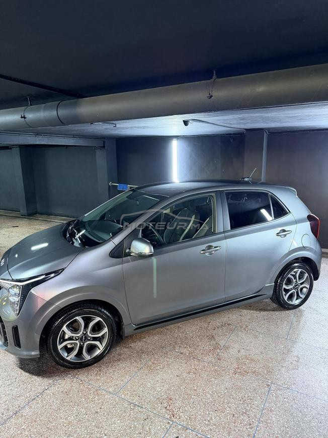 Kia Picanto Essence Automatique 2025 à Tanger