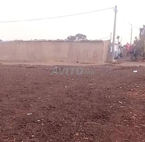 كغحاحمىةاكاكاككتخ