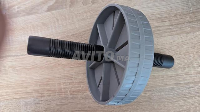 Roue abdominale