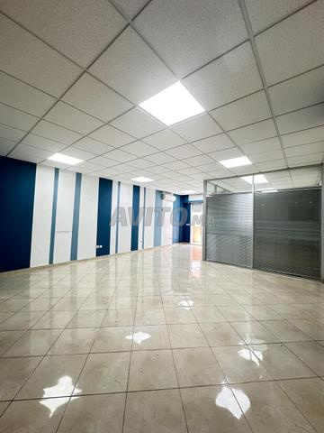 Plateaux Bureau en location - Belvédère