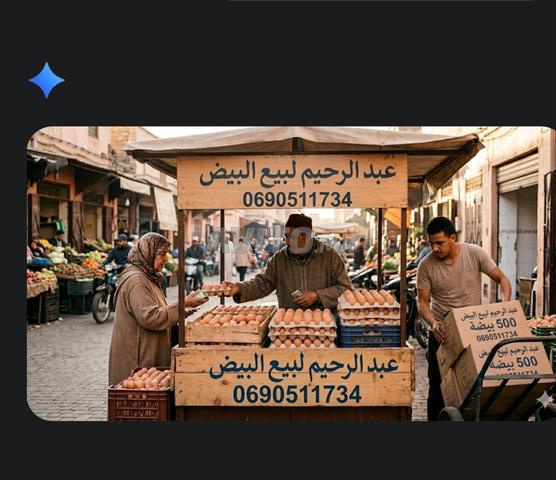 Vente d'œufs en gros et au détail