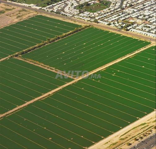 Terrain de luxe route de rabat 18 hectares
