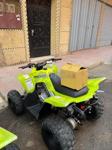 Raptor 110 - 2