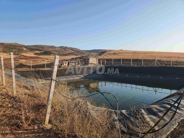 Ferme équipée Kharoub Hajeb