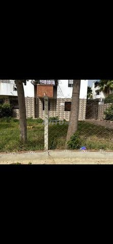 Appartement neuf à vendre avec jardin - 2