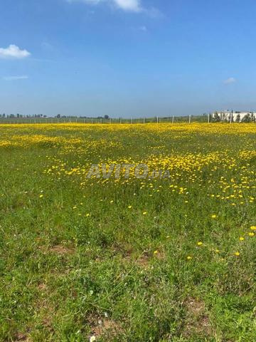 Terrain agricole d'un hectare et demi enregistré - 2