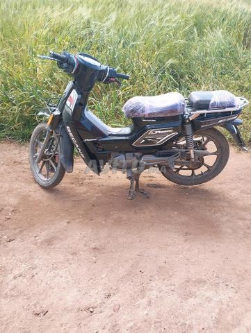 33 moto