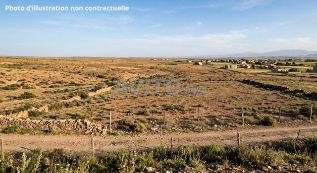 Vente Terrain nu de 8337 m2 à Tit Mellil