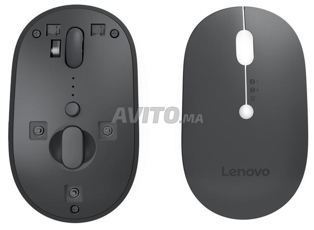 Souris LENOVO Multi-device Wireless Mouse - 2