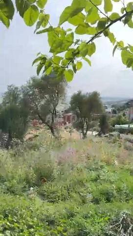 Terrain constructible pour maison, villa ou auberge - 2