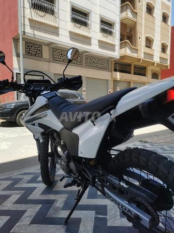 Honda Tornado 250 XR - 2