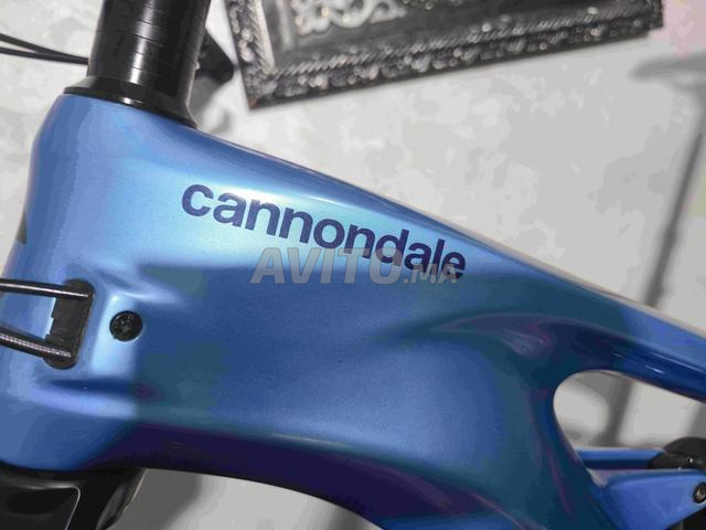 🚴‍♂️ Cannondale Moterra Neo Carbon 2 45 km/h