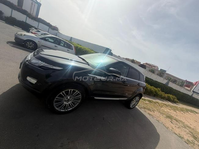الجديدة السعادة