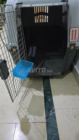 Cage de grande taille - 2
