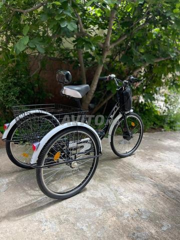Vélo électrique à trois roues - 2