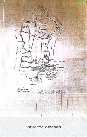 Terrain à vendre (Sidi Abdellah Ghiat) 27Ha