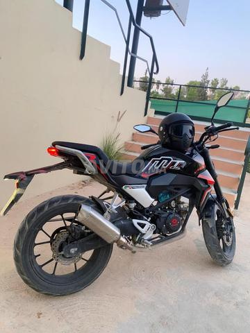 Cimatti MT05 - 2