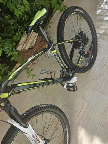 vélo Olympia 650b - 2