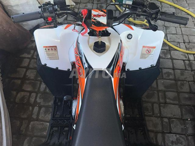Quad Kayo 110 - 2