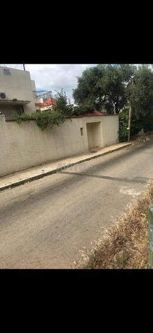 عرض بيع