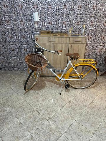 Vélo Bottecchia - 2