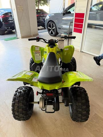 Quad Raptor 110 - 2