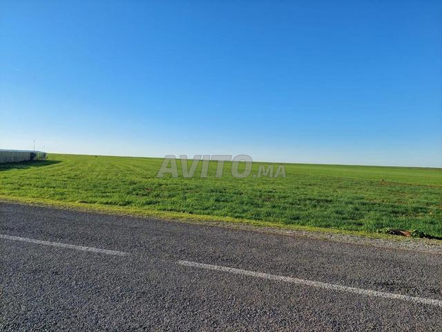 Terrain agricole sur route secondaire - 2