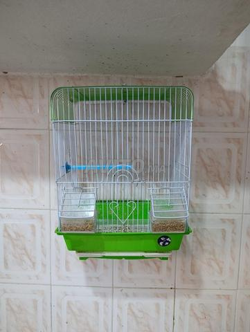 Cage à oiseaux