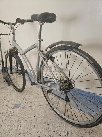 Vélo Bitwine - 2