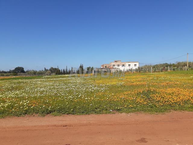 Terrain constructible villa - 2