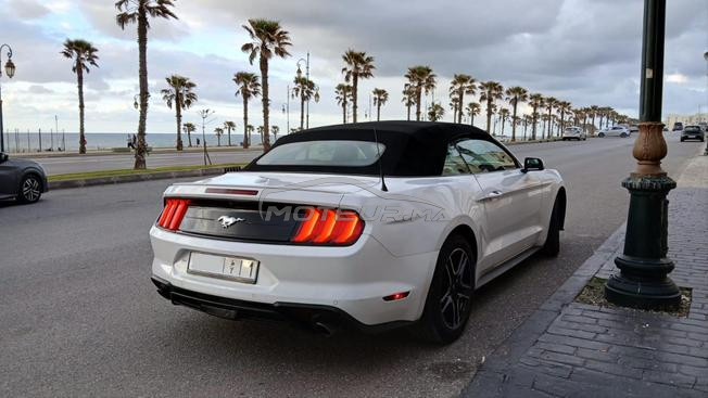 Mustang 2023 full options