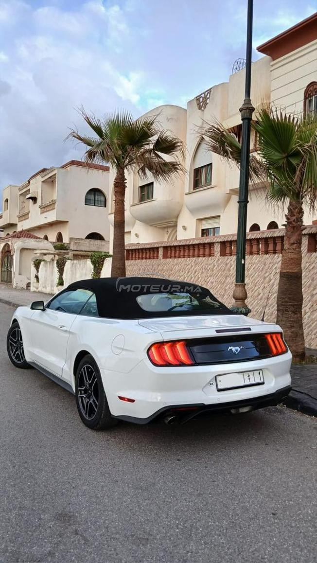 Mustang 2023 full options