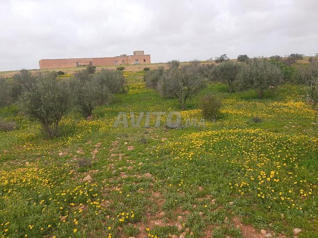 أرض مسجلة للبيع بالقرب من تزنيت