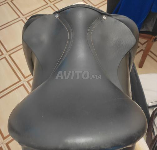 Selle mixte - 2