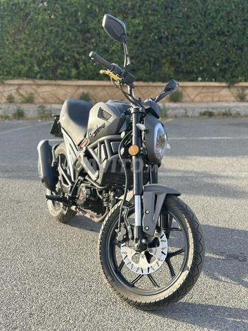 Cimatti monster EVO II