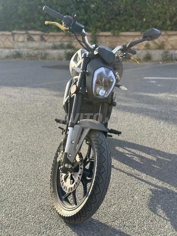 سيماتي مونستر EVO II - 2