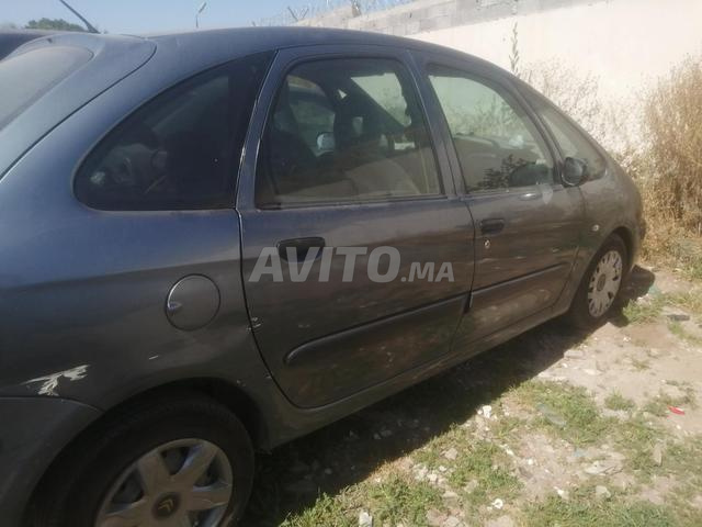 Cazara Picasso essence - 2