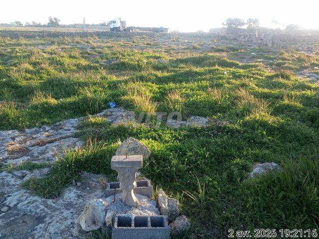 Terrain de 290 m² - 2