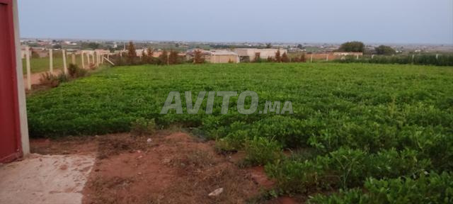 Terrains agricoles - 2