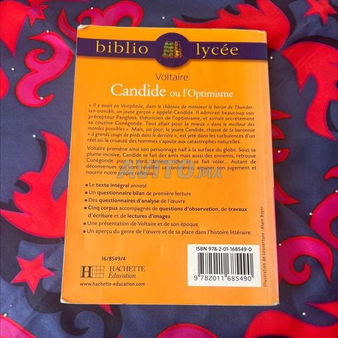 Livre Candide ou l’optimisme de Voltaire - 2