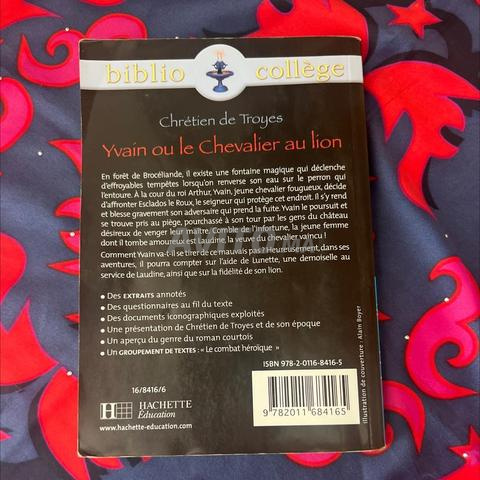 Livre Yvain ou le chevalier au lion - 2