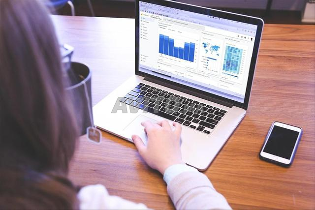 Analyse Statistique et Traitement de Données
