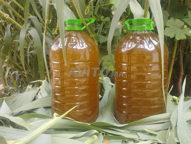 زيت العود حرة من المعصرة - 2