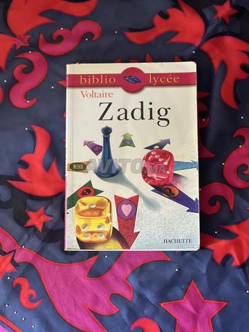 Livre Zadig de Voltaire